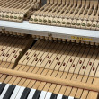1988 IMMACULATE Yamaha 5'8 - Grand Pianos
